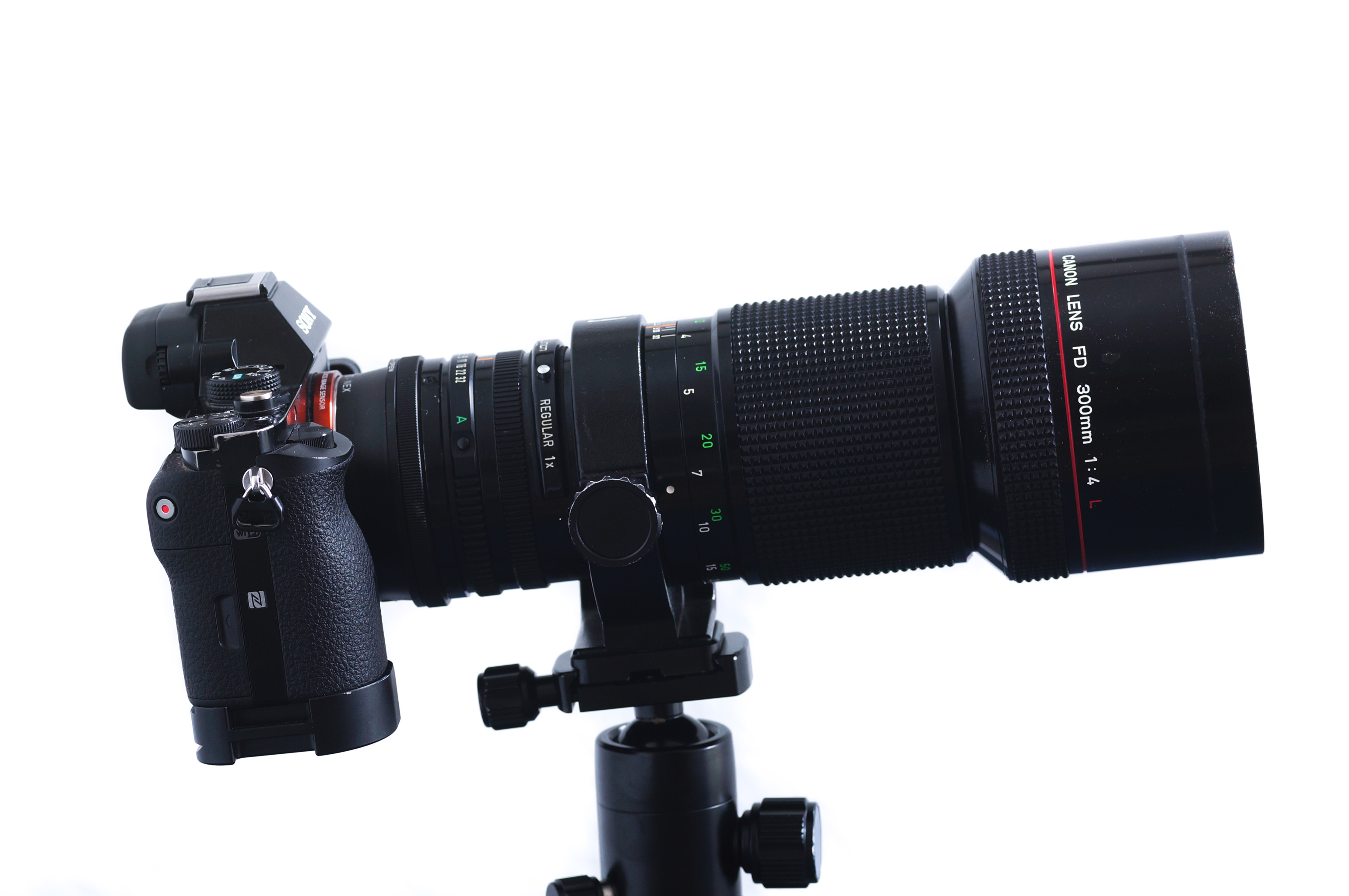 Canon FD 300mm 1:4 L Review - phillipreeve.net