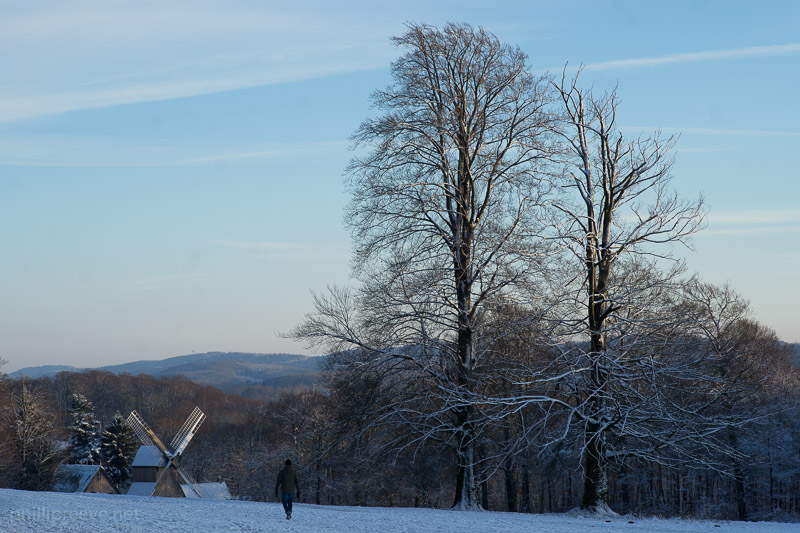 Zeiss Sonnar 2.8/90 Sample Image