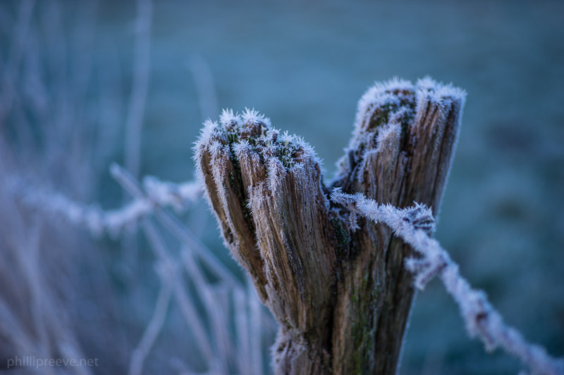 Zeiss Sonnar 2.8/90 Sample Image