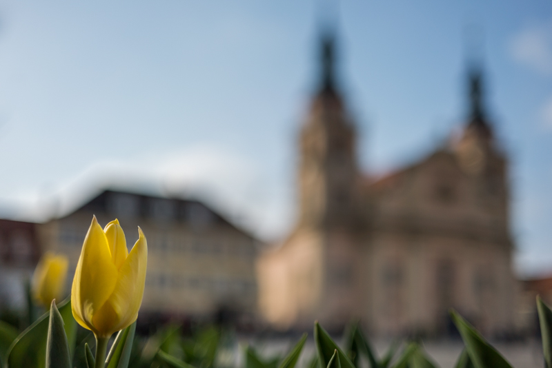 loxia 35mm 2.0 bokeh sony a7s series ilce close up