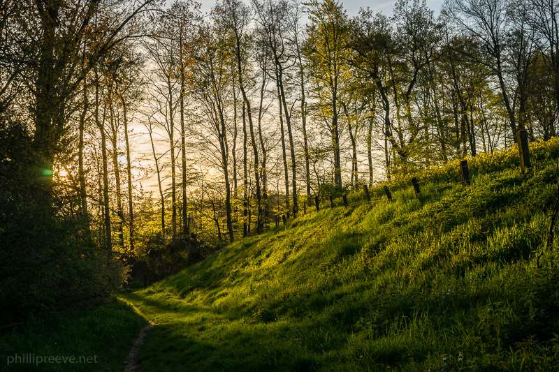 Canon EF 50mm F/1.8 STM vs Sony FE 50mm F1.8: What is the difference?