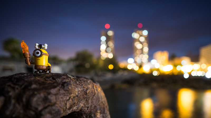 tenerife canary island zeiss batis 18mm 2.8 e mount sony a7s bokeh sparness close focus