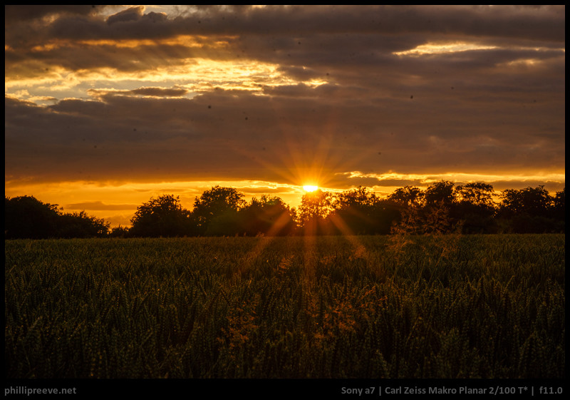 sunstar