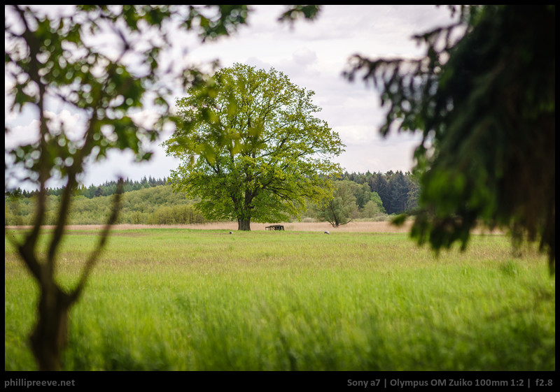 olympus_om_zuiko_100mmf2-27