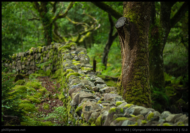 olympus_om_zuiko_100mmf2-48