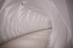 Museum of the Future Tunnel