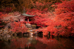 Daigo Ji Temple II