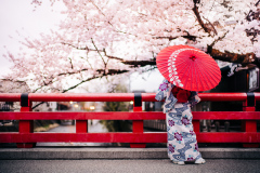 Kimono III