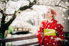 Kimono II