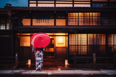 Kimono IV