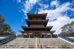 Japan Temple III
