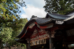 Japan Temple II