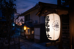 Japan Streets IX