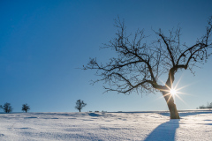 Snow IV