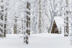 Snow I