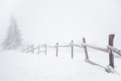 Snow III