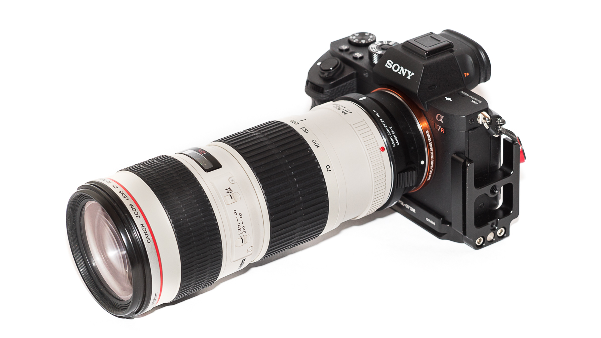 Sony A7rII with Sigma MC-11 and Canon EF 70-200mm 4.0 L USM