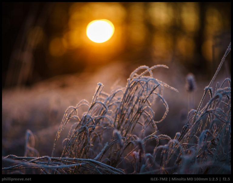 Beginners Guide to using Manual Lenses on the Sony a7