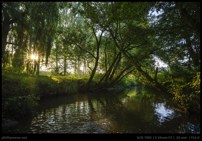 Tokina Firin 20mm F2 FE Review: A good deal? - phillipreeve.net