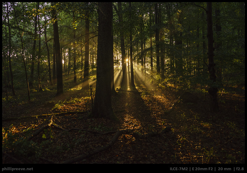 Tokina_Firin_20mmF2-3-2 - phillipreeve.net