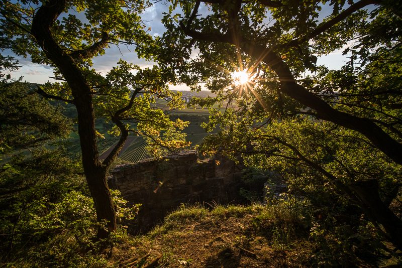 laowa 15mm 2.0 fe venus optics review architecture landscape sunstars