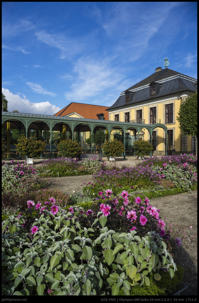 Review Olympus OM Zuiko 12.8 24mm on Sony a7