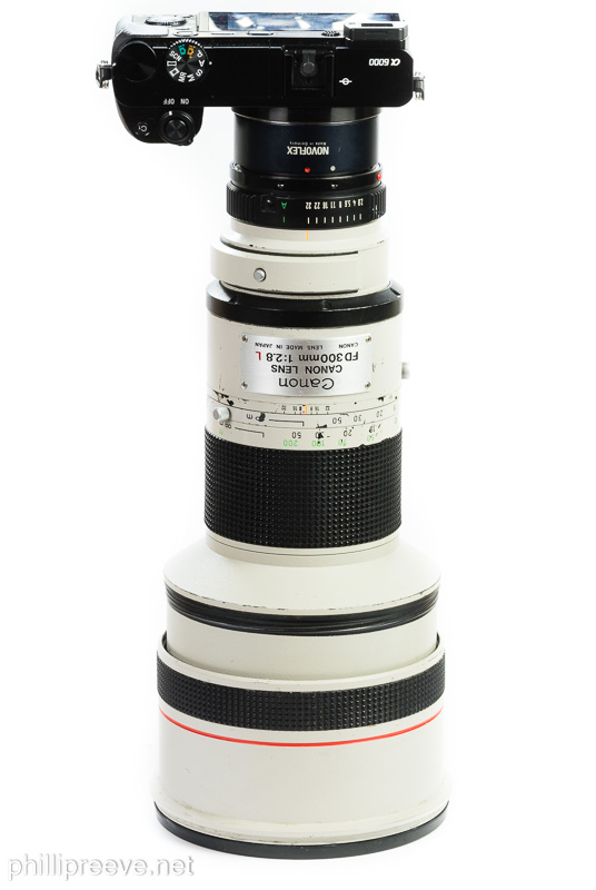 canon fd 300mm 2.8 l