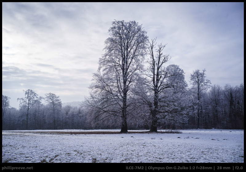 Review: Olympus OM Zuiko 28mm 1:2 - phillipreeve.net