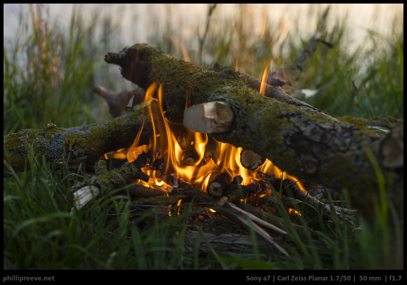 貿易保証Carl Zeiss Planar 50mm F1.7 レンズ(単焦点)