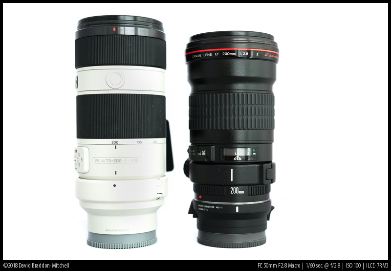 Sony 70-200 f/2.8 GM II vs f/4 G II: Expectations vs…