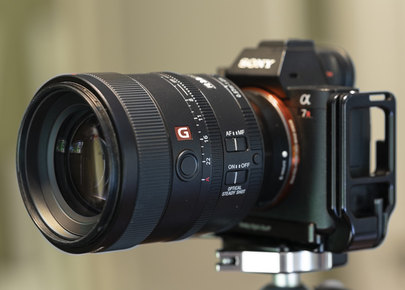 Review: Sony FE 100 f/2.8 STF GM OSS Lens - phillipreeve.net