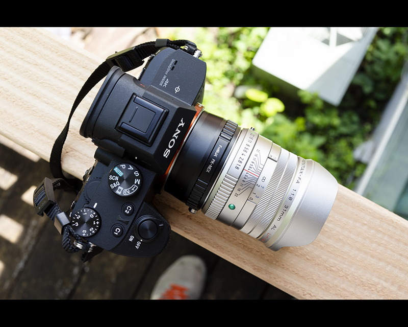 pentax 31 1.8