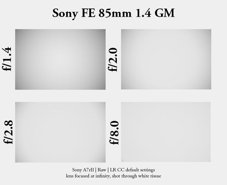Sony FE 85mm 1.4 GM gmaster portrait bokeh sharpness a7rII a7rm3 a7riii 42mp review