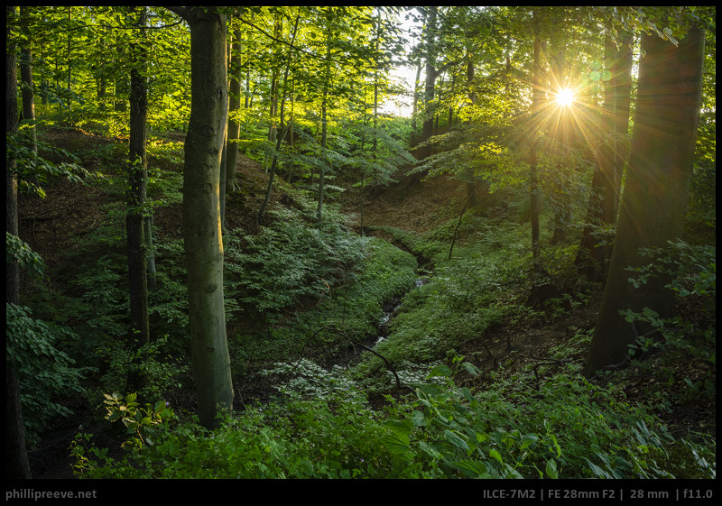 Lente Sony FE 28mm f/2