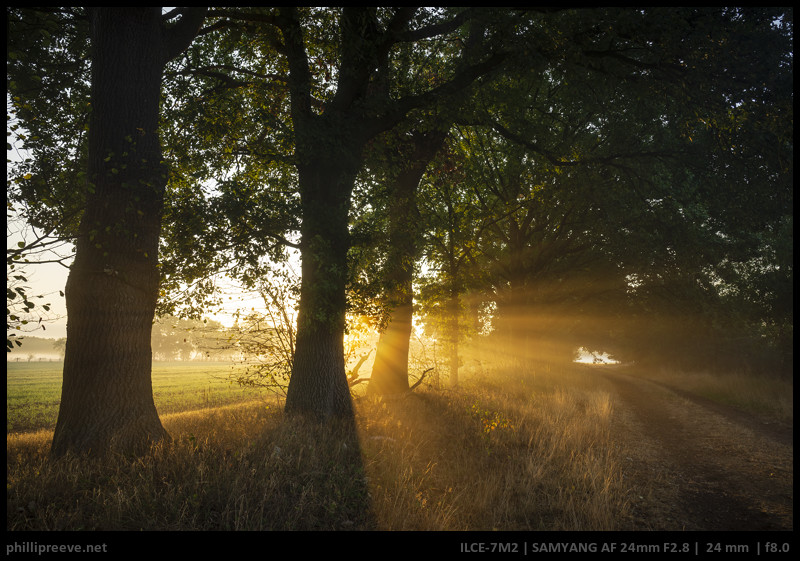 Review: Samyang AF 24mm f/2.8 FE - Small lens