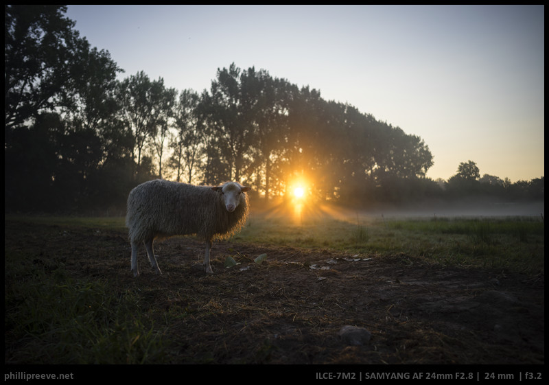 Review Samyang Af 24mm F 2 8 Fe Small Lens Big Compromise