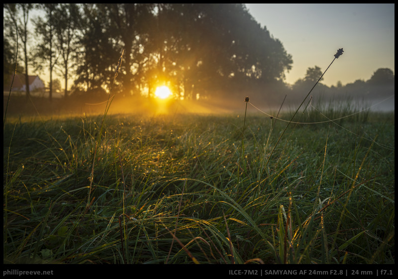 Review: Samyang AF 24mm f/2.8 FE - Small lens, big compromise