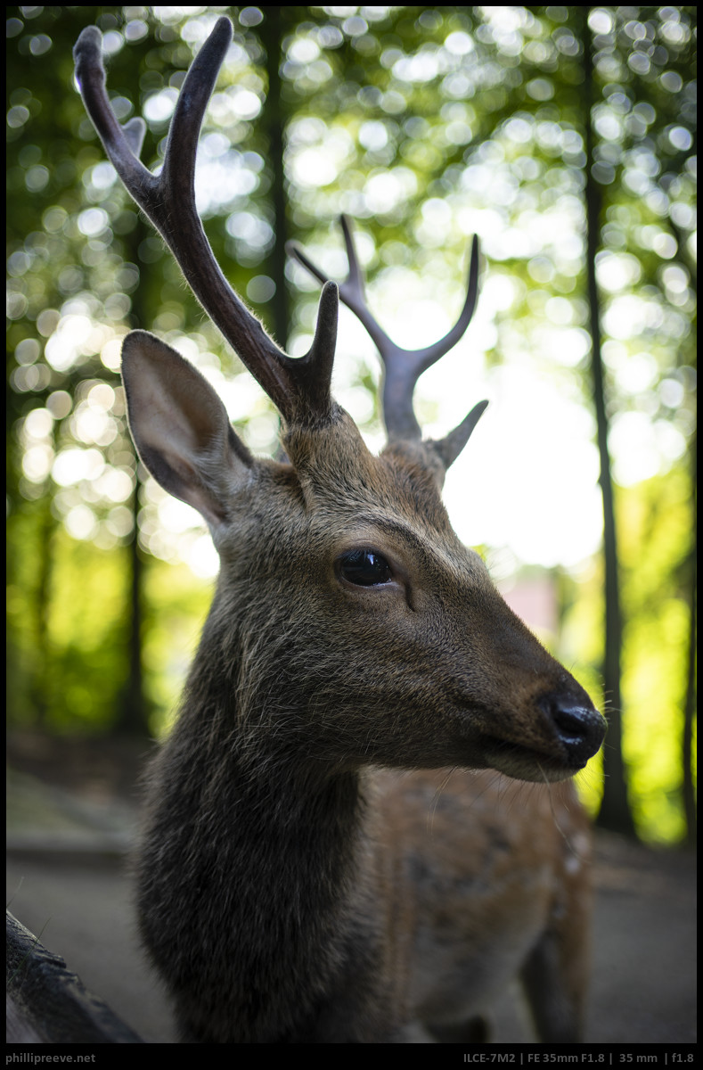 The Sony 35mm F1.8 FE Has Generous Amounts of Weather Sealing