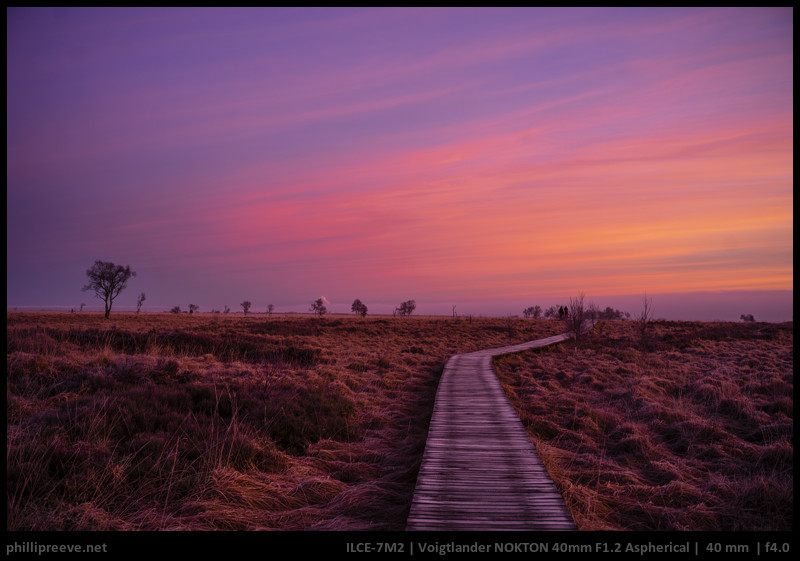 Lenses in the field part 1: Out in nature with the Voigtländer 40mm F1.2 