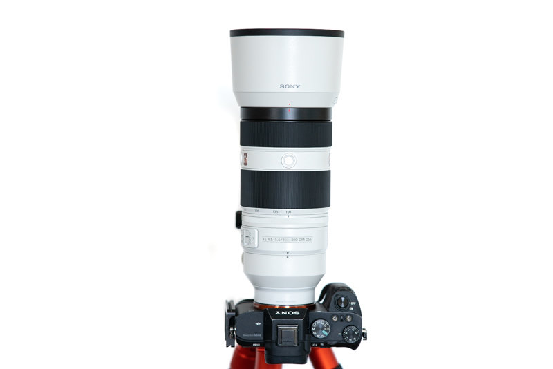 Sony 100-400 VS 70-200 F2.8 GM II With 2x Tele at 400mm 