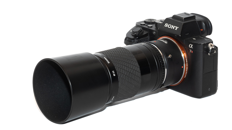 Review: Sigma 180mm 5.6 Apo Macro (MF) - phillipreeve.net