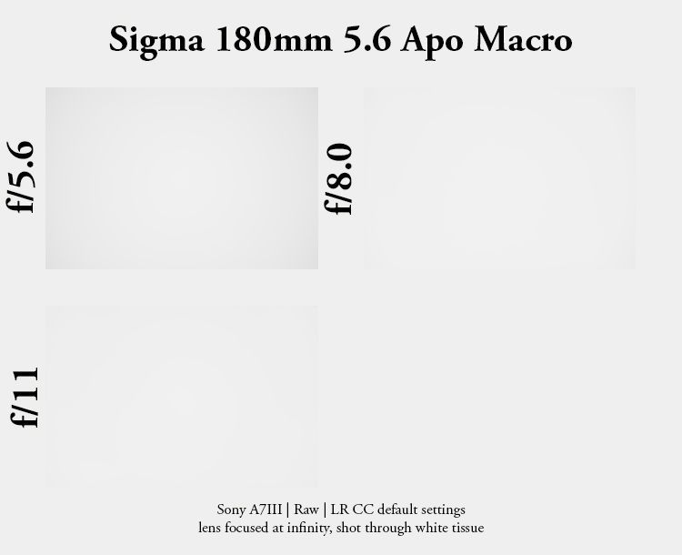 sigma 180mm 5.6 f/5.6 apo macro makro light tele lightweight small 200mm sony 42mp a7rii a7riv a7riii adapted contax review resolution sharpness contrast close minimum focus distance