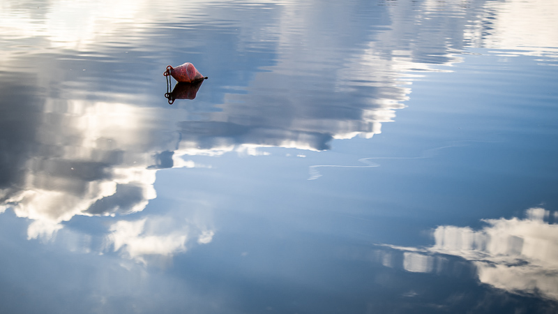 samyang 50mm 1.2 xp premium mf canon ef sony a7r 42mp review sharpness bokeh coma vignetting contrast