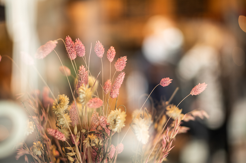 bokeh summicron 90mm 2.0 sony a7 review 42mp leica m10 24mp sharpness contrast