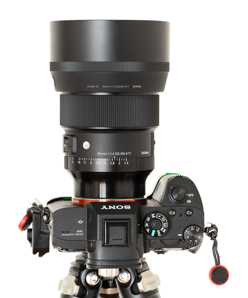 sony sigma 85mm