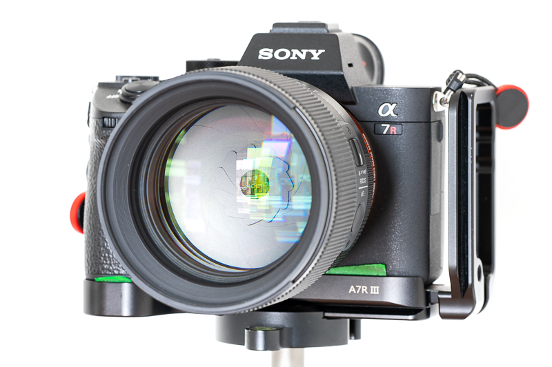 Sony A7 IV Camera and Sigma 85mm F1.4 DG DN Lens