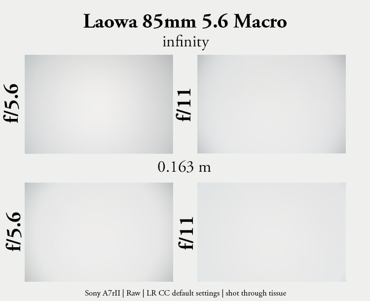 laowa 85mm 5.6 2:1 ff ii macro twice life size makro mirko 42mp 61mp resolution bokeh sharpness contrast