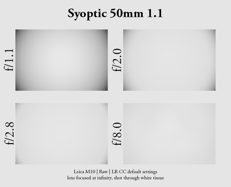syoptic mr. ding 50mm 1.1 noctilux leica nokton voigtländer review m10 42mp 24mp sony a7rii contrast resolution bokeh