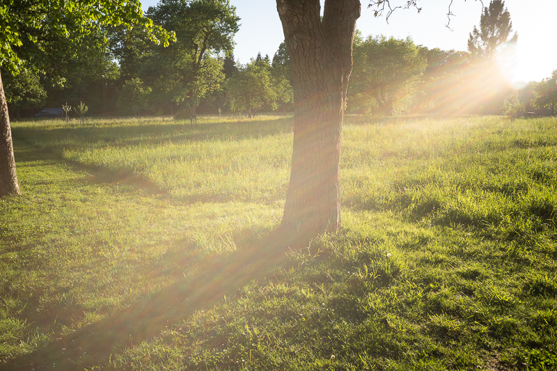 7artisans ttartisan 28mm 5.6 m wen review leica m10 m11 42mp 24mp contrast resolution flare resistance compact