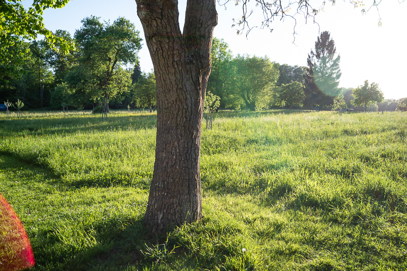 7artisans ttartisan 28mm 5.6 m wen review leica m10 m11 42mp 24mp contrast resolution flare resistance compact